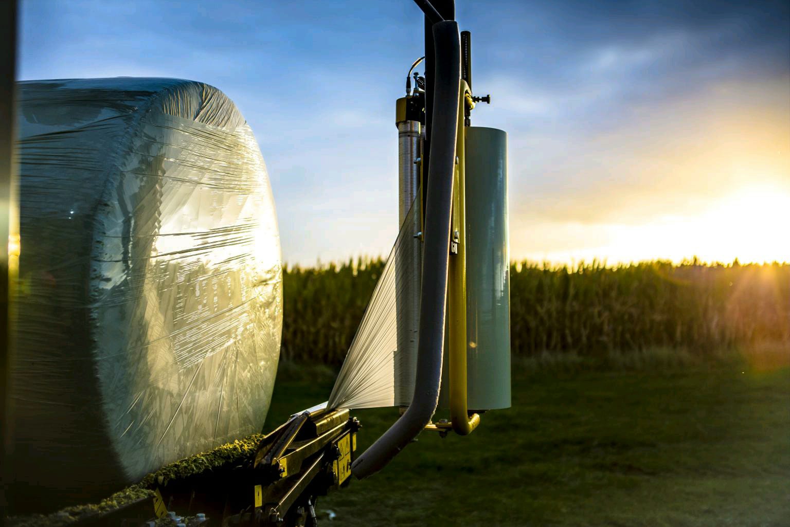 Silage Bales